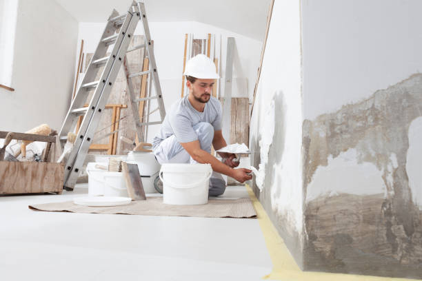 Best Drywall Texturing  in Watkinsville, GA